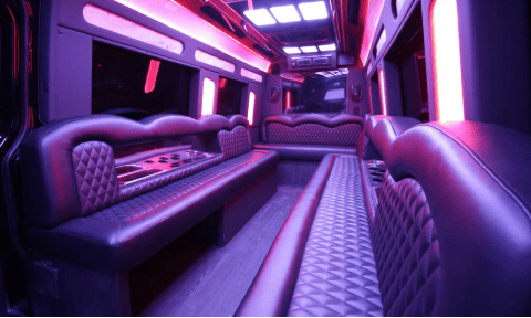 Scottsdale 14 Passenger Sprinter Bus Interior
