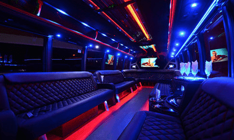 Surprise 30 Passenger Party Bus Black Interior